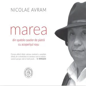 marea din spatele caselor de piatră cu acoperișul roșu de Nicolae Avram