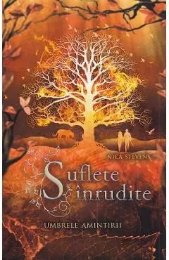 Suflete inrudite. Umbrele amintirii de Nica Stevens