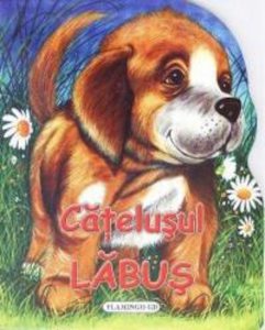 Catelusul Labus