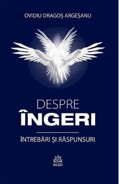 Despre ingeri. Intrebari si raspunsuri