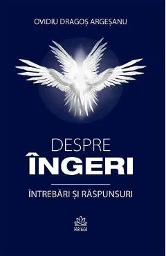 Despre ingeri. Intrebari si raspunsuri