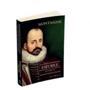 Eseurile despre relatii, sexualitate si experienta de Michel De Montaigne