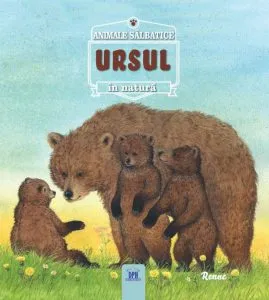 Ursul- animale salbatice in natura de Renne