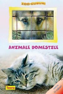 Zoo cuburi. Animale domestice