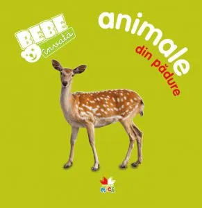 Bebe invata: Animale din padure