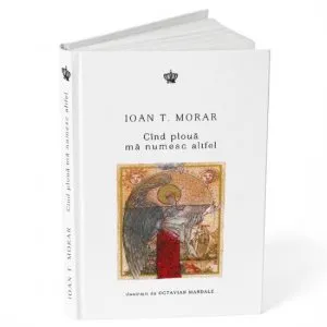 Cand ploua ma numesc altfel de Ioan T. Morar