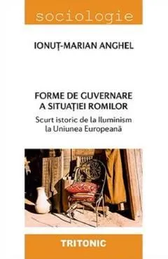 Forme de guvernare a situatiei romilor de Ionut-marian Anghel