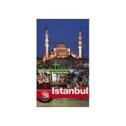 Ghid turistic ISTANBUL de Dana Ciolca