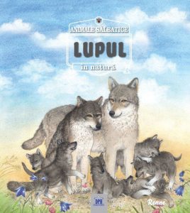 Lupul- animale salbatice in natura