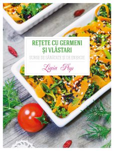 Retete cu germeni si vlastari - Surse de sanatate si energie
