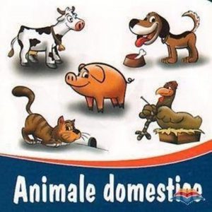 Animale domestice