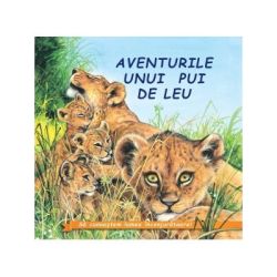 Aventurile unui pui de Leu﻿. Sa cunoastem lumea inconjuratoare!
