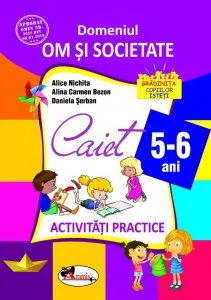 Domeniul om si societate de Alice Nichita