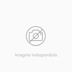 Caiet de vacanta - Limba romana pentru clasa a IV-a de Elena Ibric