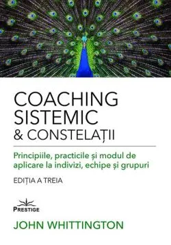 Coaching sistemic & constelații de John Whittington