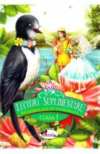 Lecturi suplimentare