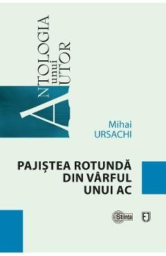 Pajistea rotunda din varful unui ac