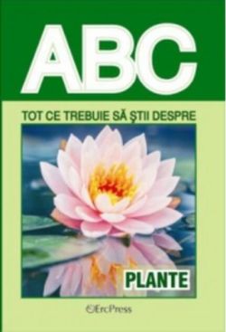 Tot ce trebuie să știi despre plante