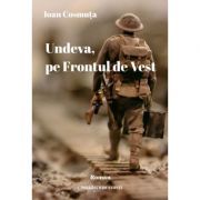 Undeva, pe Frontul de Vest. Roman