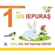 1 de la Un iepuras. Unu, doi, trei iepurasi diferiti! Necartonata de Emanuela Carletti