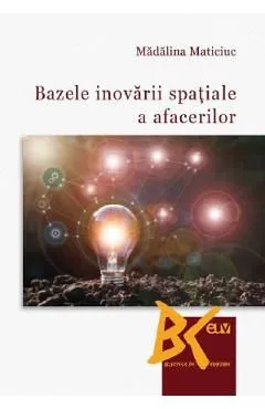 Bazele inovarii spatiale a afacerilor de Madalina Maticiuc