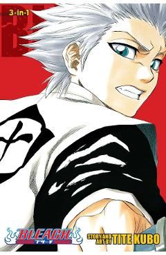 Bleach (3-in-1 Edition) Vol.6