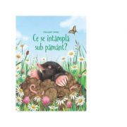 Ce se intampla sub pamant (Usborne)