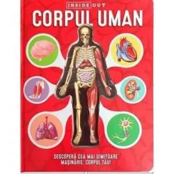 Corpul uman. Model 3D