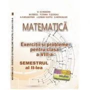 Matematica. Exercitii si probleme clasa a 8-a Semestrul al 2-lea de Delia Schneider