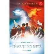 Nascuti din lupta (vol. 3 din Seria Elementalii) de Amie Kaufman