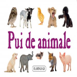 Pui de animale