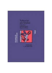 Tulburări ale Sinelui. O abordare axată pe tipurile de personalitate de Marshall L. Silverstein