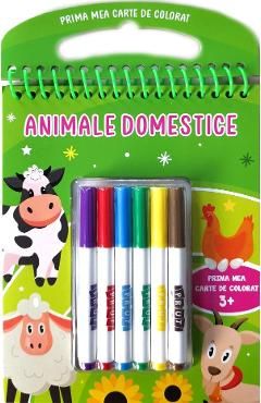 Animale domestice 3 ani . Cu carioci