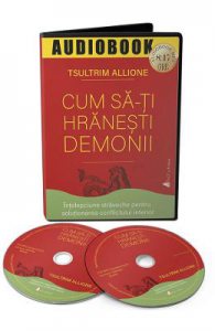 Audiobook. Cum sa-ti hranesti demonii