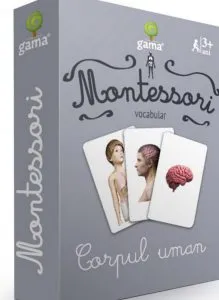 Corpul uman/ CJEd. Montessori. Seria 3