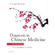 Diagnosis in Chinese Medicine. A Comprehensive Guide