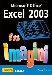 EXCEL 2003 in imagini