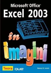 EXCEL 2003 in imagini