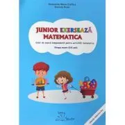 Junior exerseaza matematica de Daniela Dosa