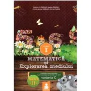 Matematica si explorarea mediului de Bogdan   Paraiala