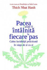 Pacea poate fi intalnita la fiecare pas