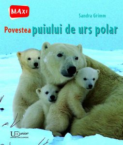 Povestea puiului de urs polar