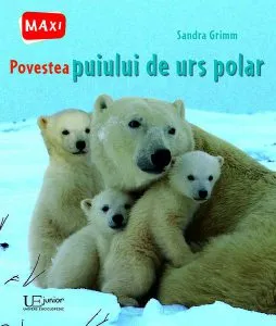 Povestea puiului de urs polar de Sandra Grimm