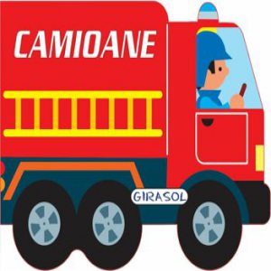 Vehicule cu motor - Camioane