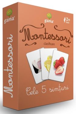 Cele 5 simțuri. Cărţi de joc Montessori