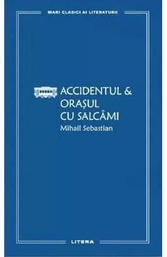 Accidentul. Orasul cu salcami