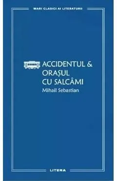 Accidentul. Orasul cu salcami