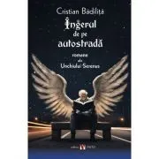 Ingerul de pe autostrada, editia a doua de Cristian Badilita