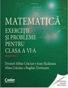 Matematica. Exercitii si probleme pentru clasa a VI-a sem. 1