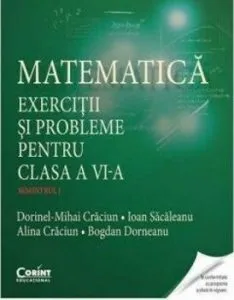 Matematica. Exercitii si probleme pentru clasa a VI-a sem. 1